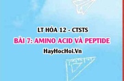 Peptide, Amino acid là gì? tính chất hóa học, vật lí của Amino acid, Peptide, cấu tạo Amino acid? Hóa 12 bài 7 CTST